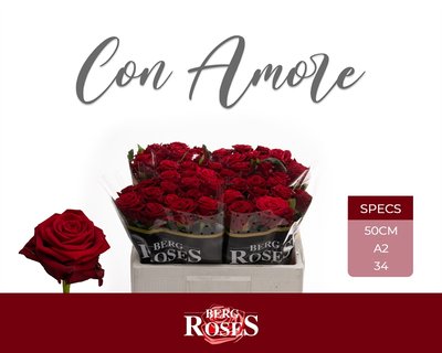 0x15C2A119FD80A70CFE379EDD6B7B0E7E14AF4A64