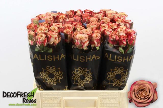 0x7563932B88D0F388EE995BC09BF2B6C13E7ACF25