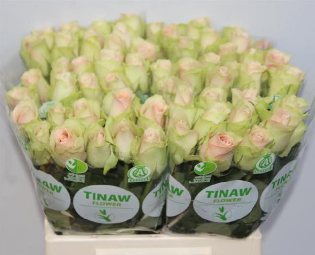 200204-r-gr-la-belle