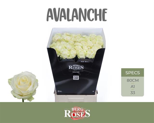 0x22262D66E5F30AE3E9F0BD5F7F4099CBFA161706