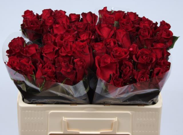 0xAC45DC63E6200B52114CC273DBD941EBD7F45029