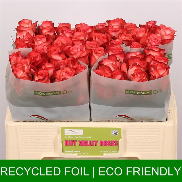 0xD95875270ABC880663E8C5C534617BE8F9D0F7D7