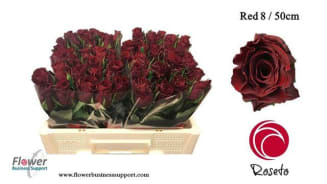 0xF4E54B8AC839C51120EABC7BF198B6A99C9BBB15