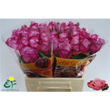 B104479_0000147947_H_1