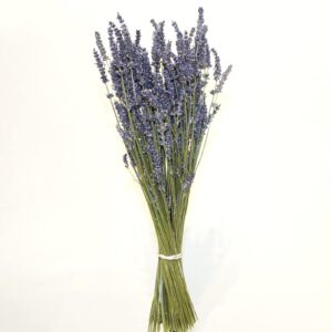 Lavanda essiccata 40cm