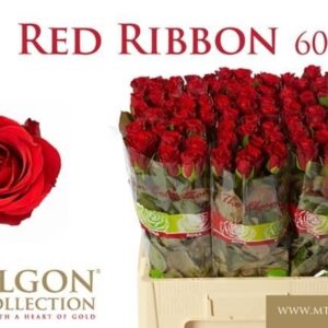 Red Ribbon 60cm