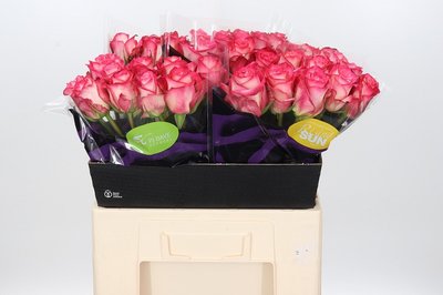 0xA2C5FAD3C04CF7512BB8A470D5FB2225F0730656