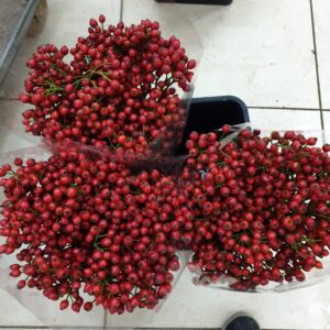 Rosa Easy hip hop 50cm