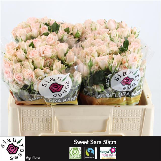 0x221F6EAFD325E1271F0114F75205DE708AD58797