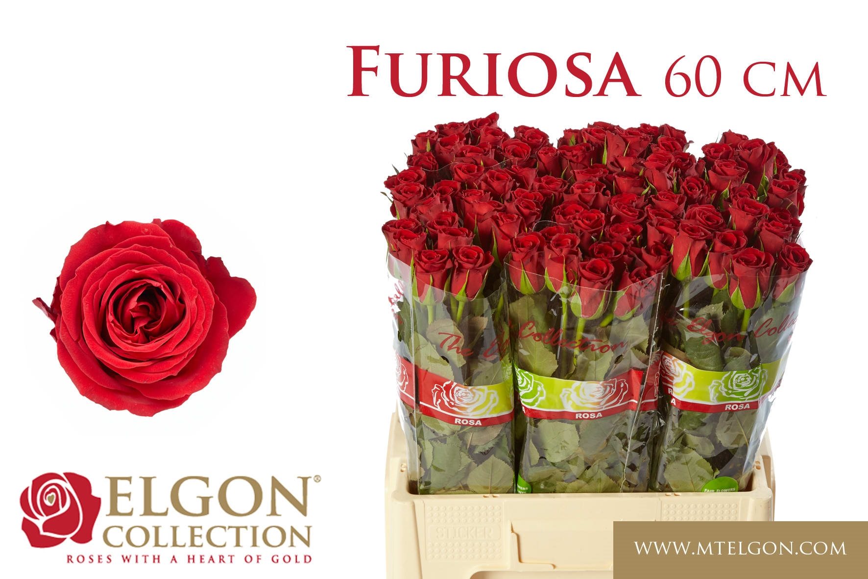 57cdde4f1f1c1-2255153