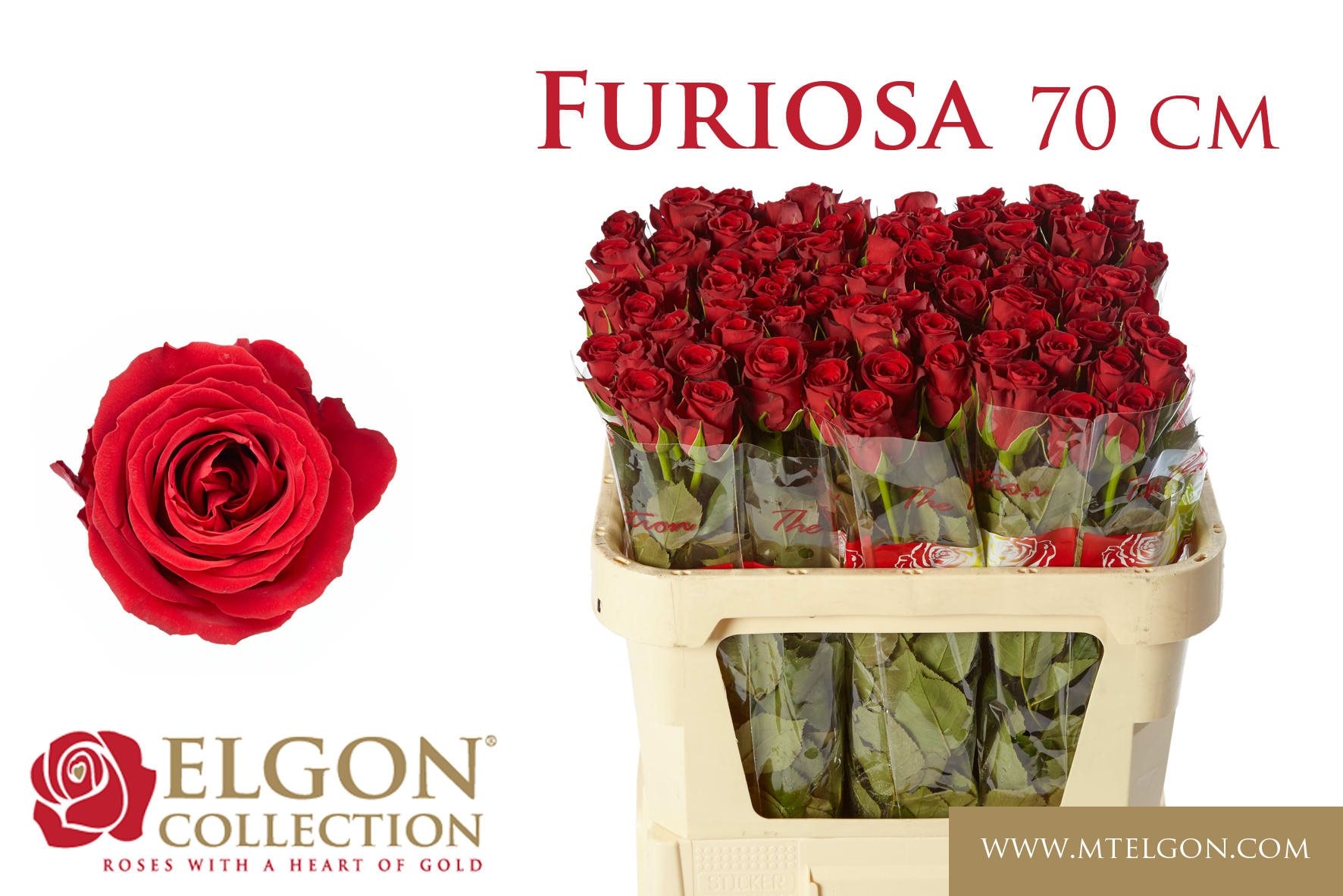 59c1636d6843c-2080233