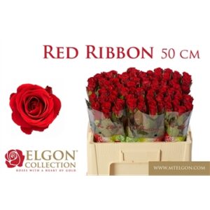 Red Ribbon 50cm