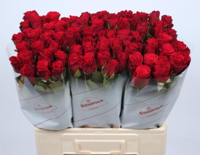 9e0e1670-8647-3257-9a94-03830f692378