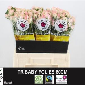 Baby Folies 60cm