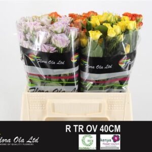 Gemengd Spray (misto) 40cm