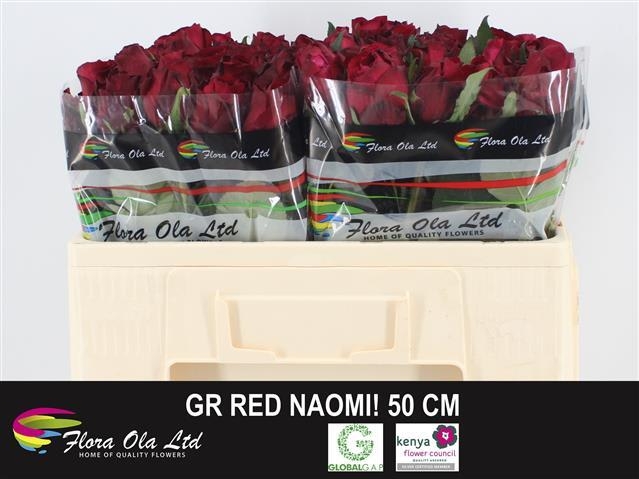 red naomi 50 flora