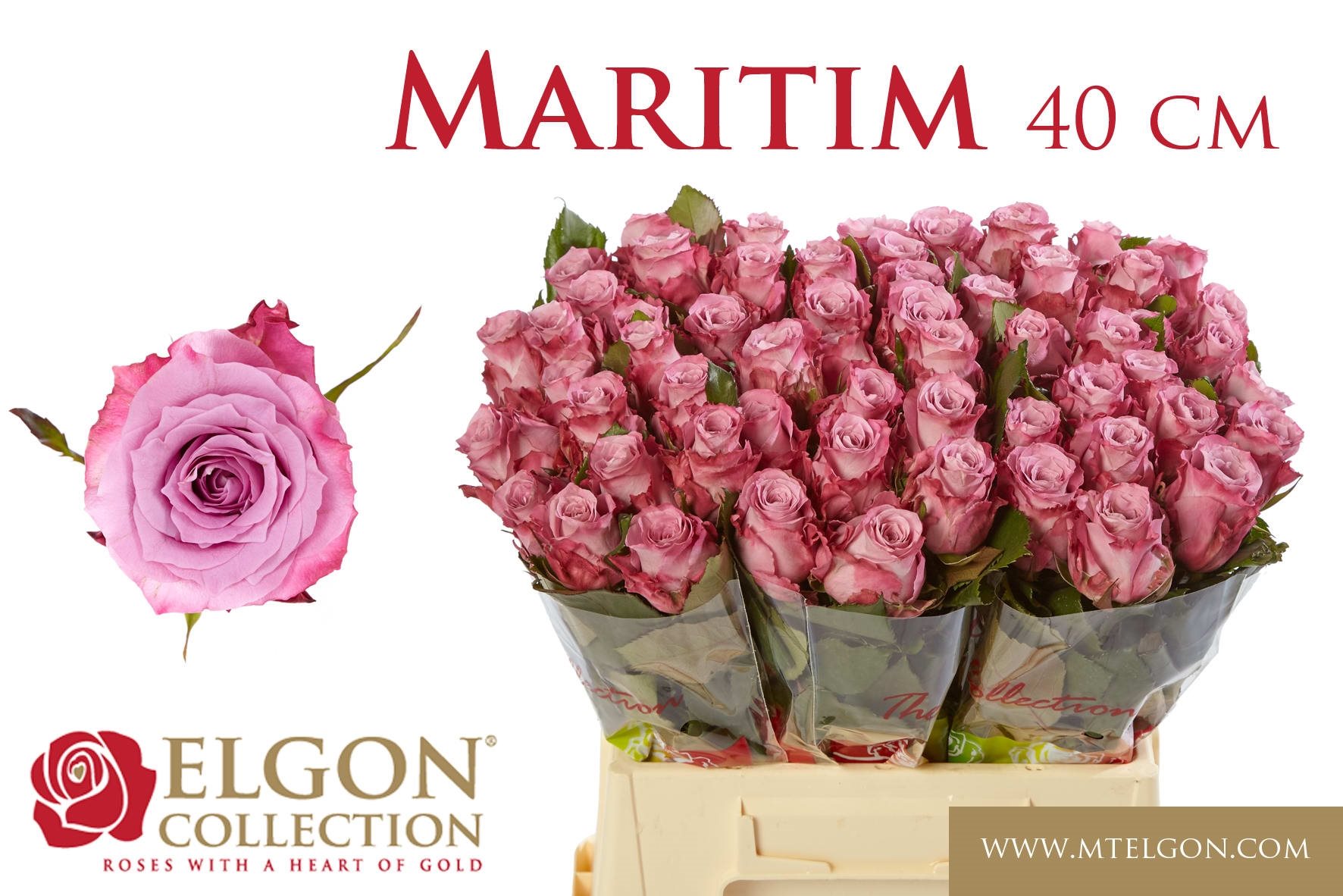 1f2fa35cdf410-2080249