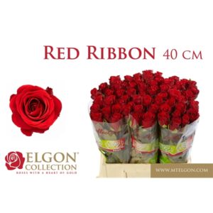 Red ribbon 40cm