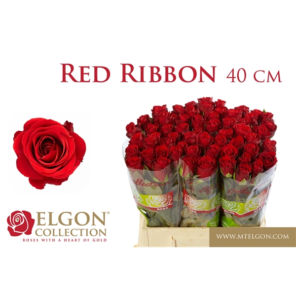 red ribbon 40