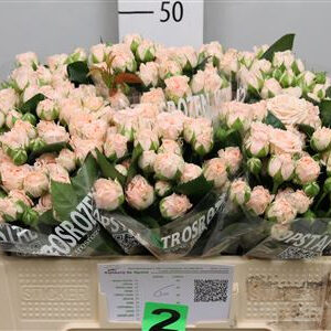 Romantic Bubbles 40cm