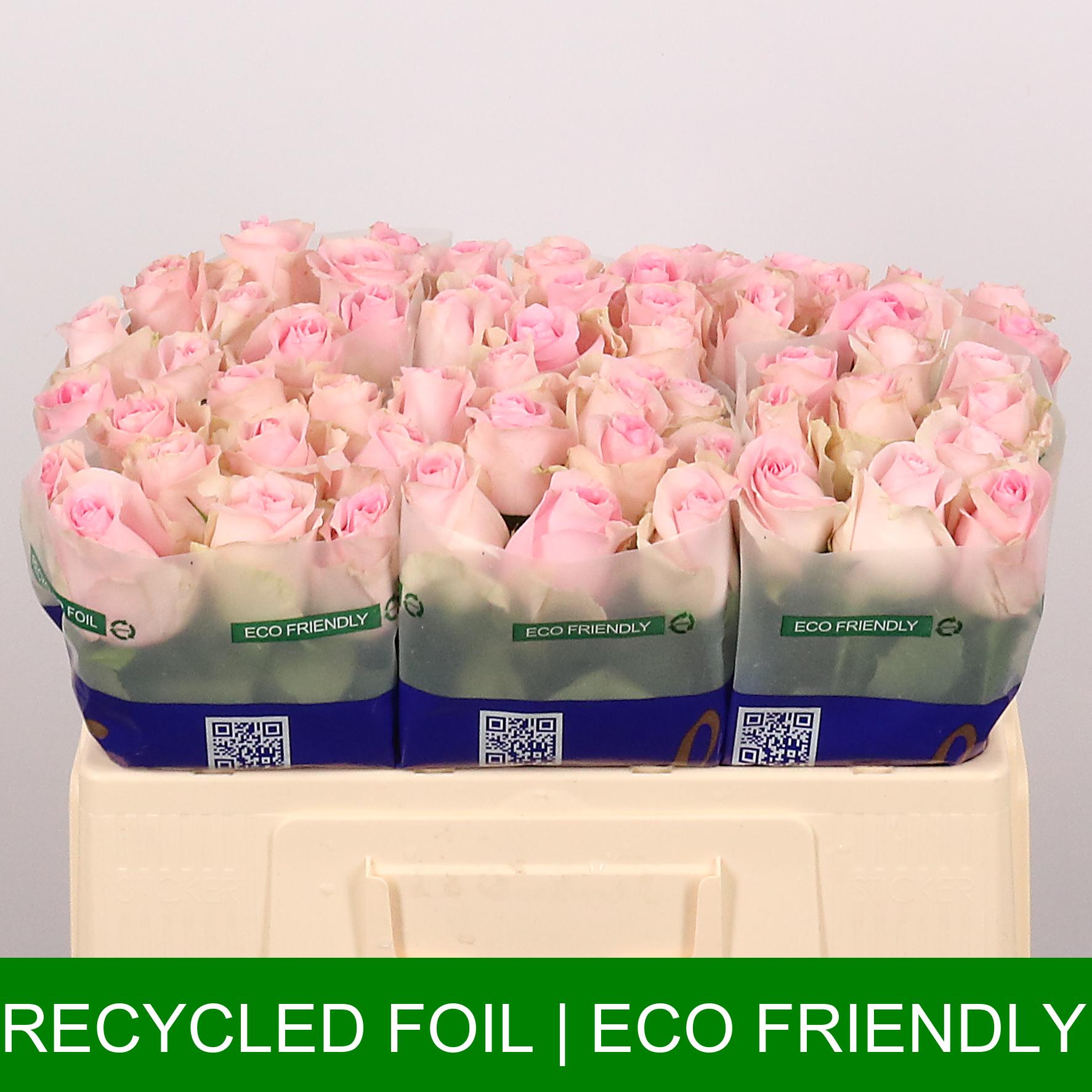 Revival-Angel-50cm-60588