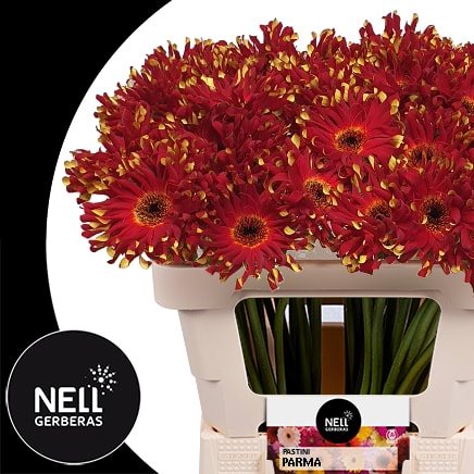 9960505123013-2018123