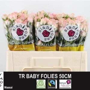 Baby Folies 40cm