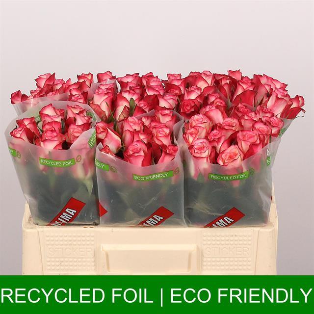 0x45D82893649257BE41793E9484E364F894D55EA5