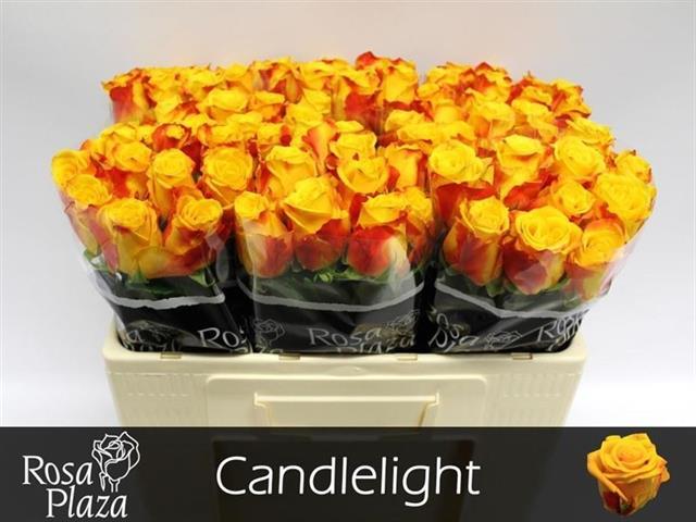 0x62FD879276B891AA8DAB0530DE14C3E9A2758681