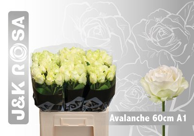 0x6E9857FB1BFC972911C0AD7DCC21C9E680E6551D