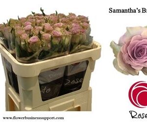 Samantha Bridal 70cm