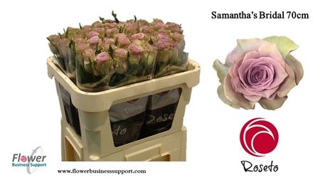 R_Gr_Samanthas_Bridal