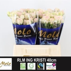 Rlm Ing Kristi 40cm