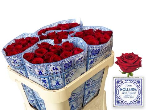 red naomi 70 holanda