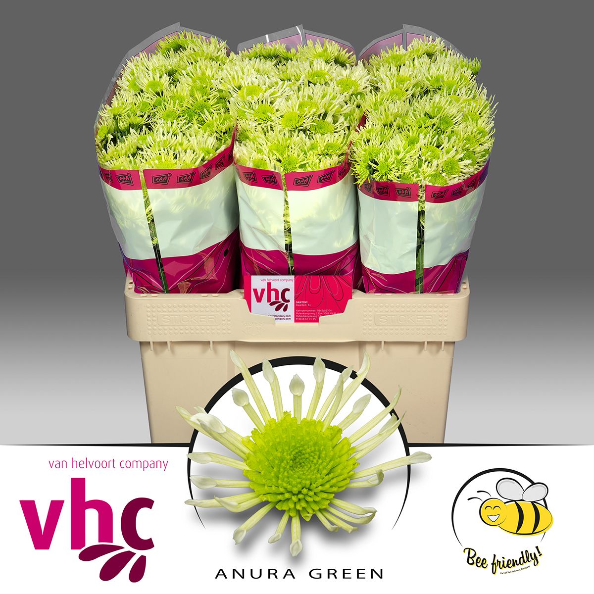 f5eb5d32-3f0d-48f4-83a4-242e811f1d8f