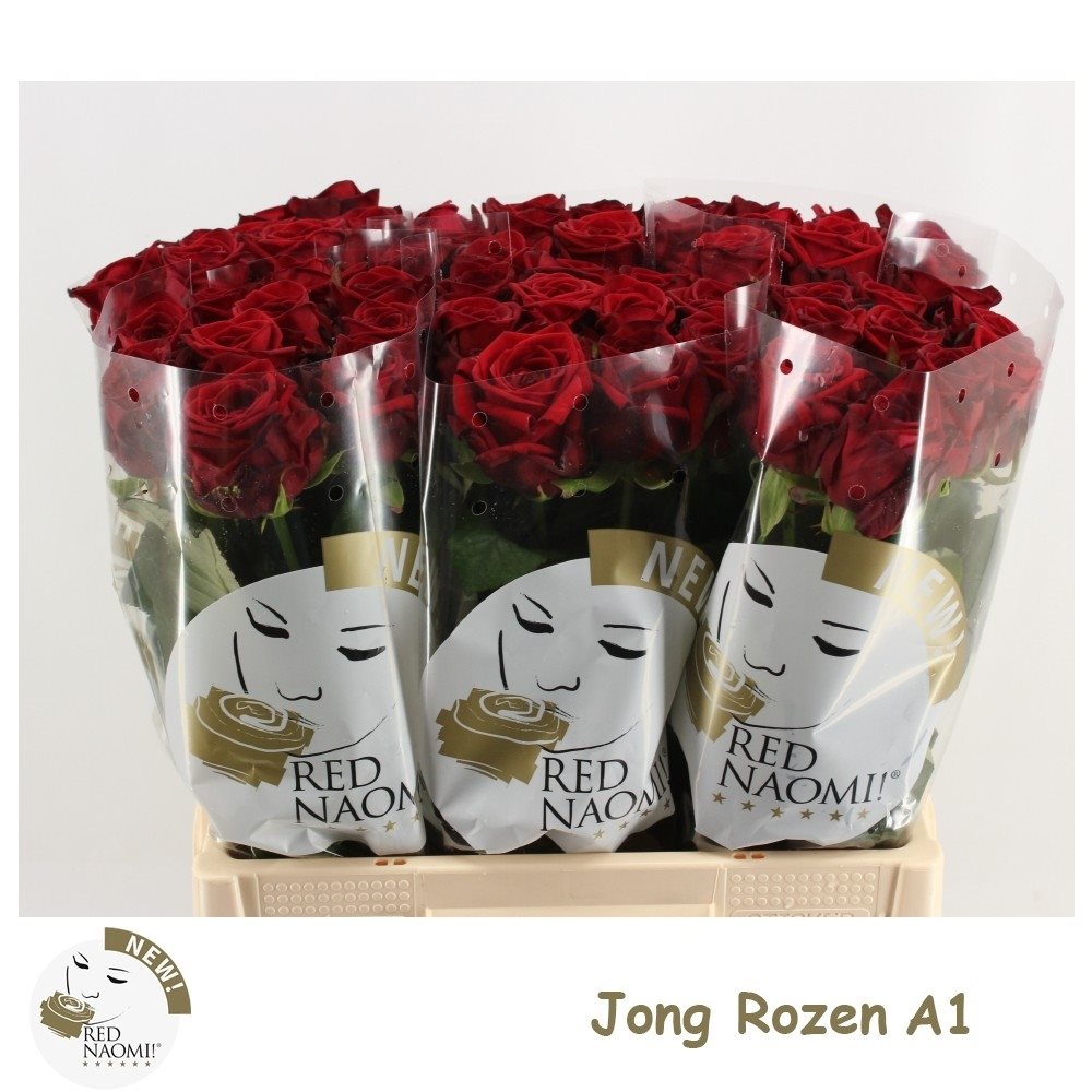 A1Rednaomi6-Q-2836559