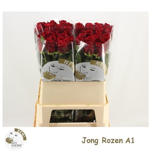 0xC2BD55B20E889DC1E1080E205F5C1B15D1070C38