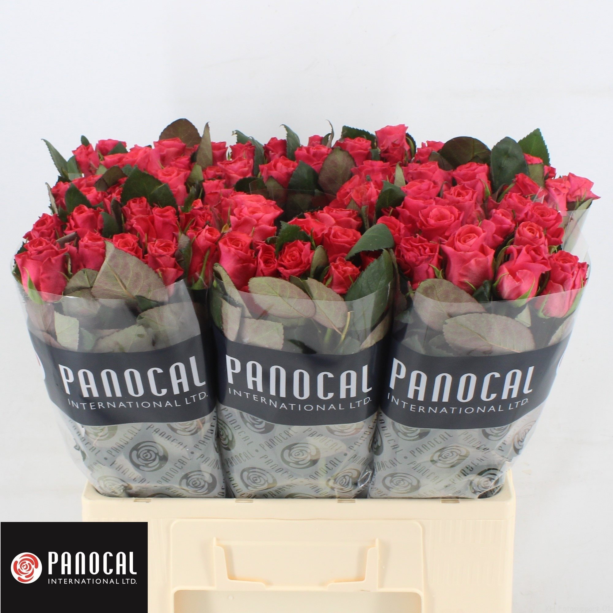 R GR P TAC 60-2879318