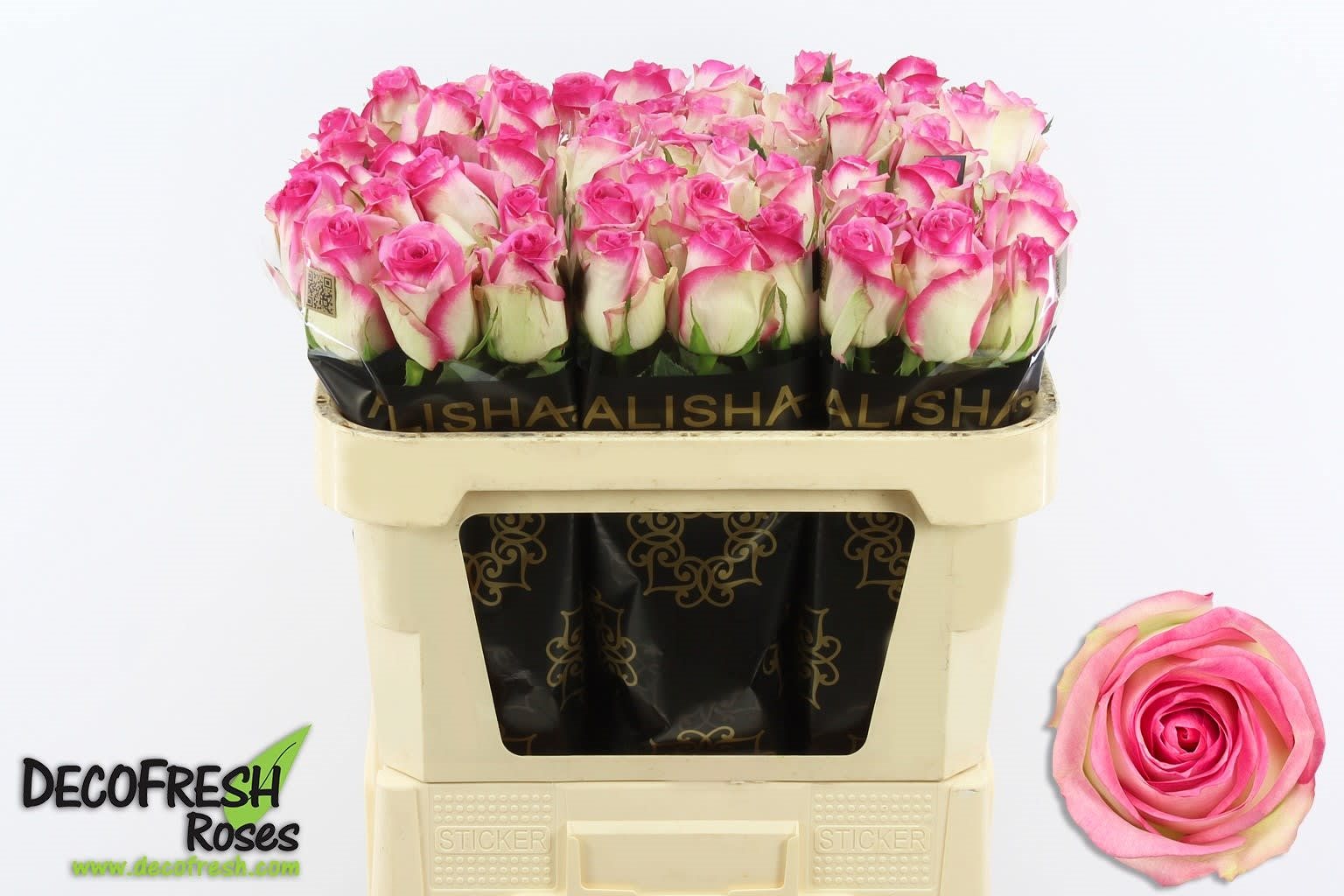 1257521789-B-2690649