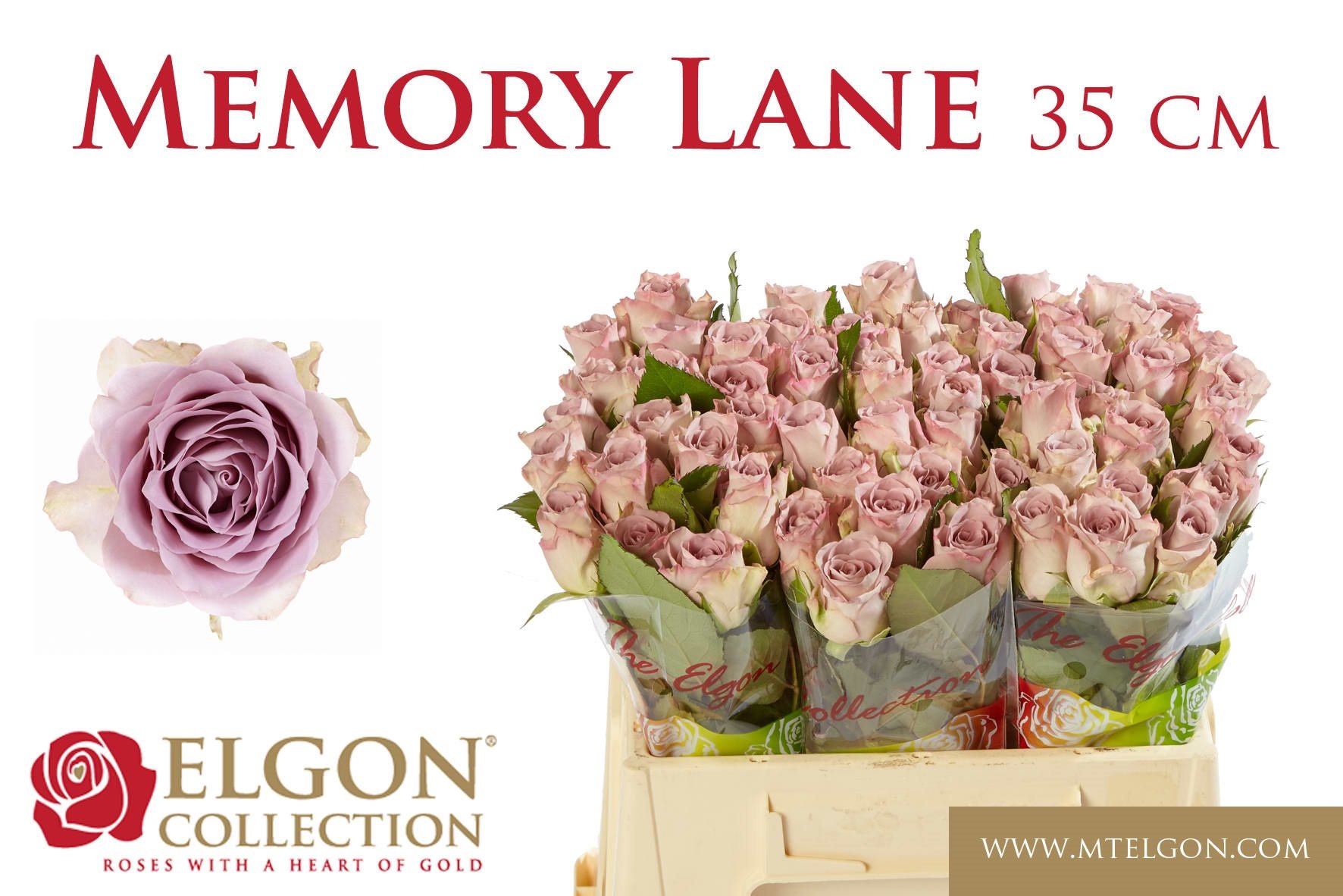 1b216b41315fc-2525316