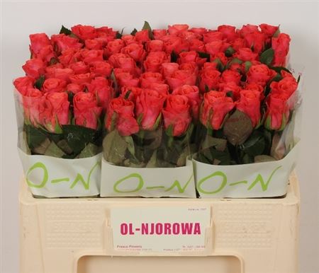 B113469_0002075522_H_1