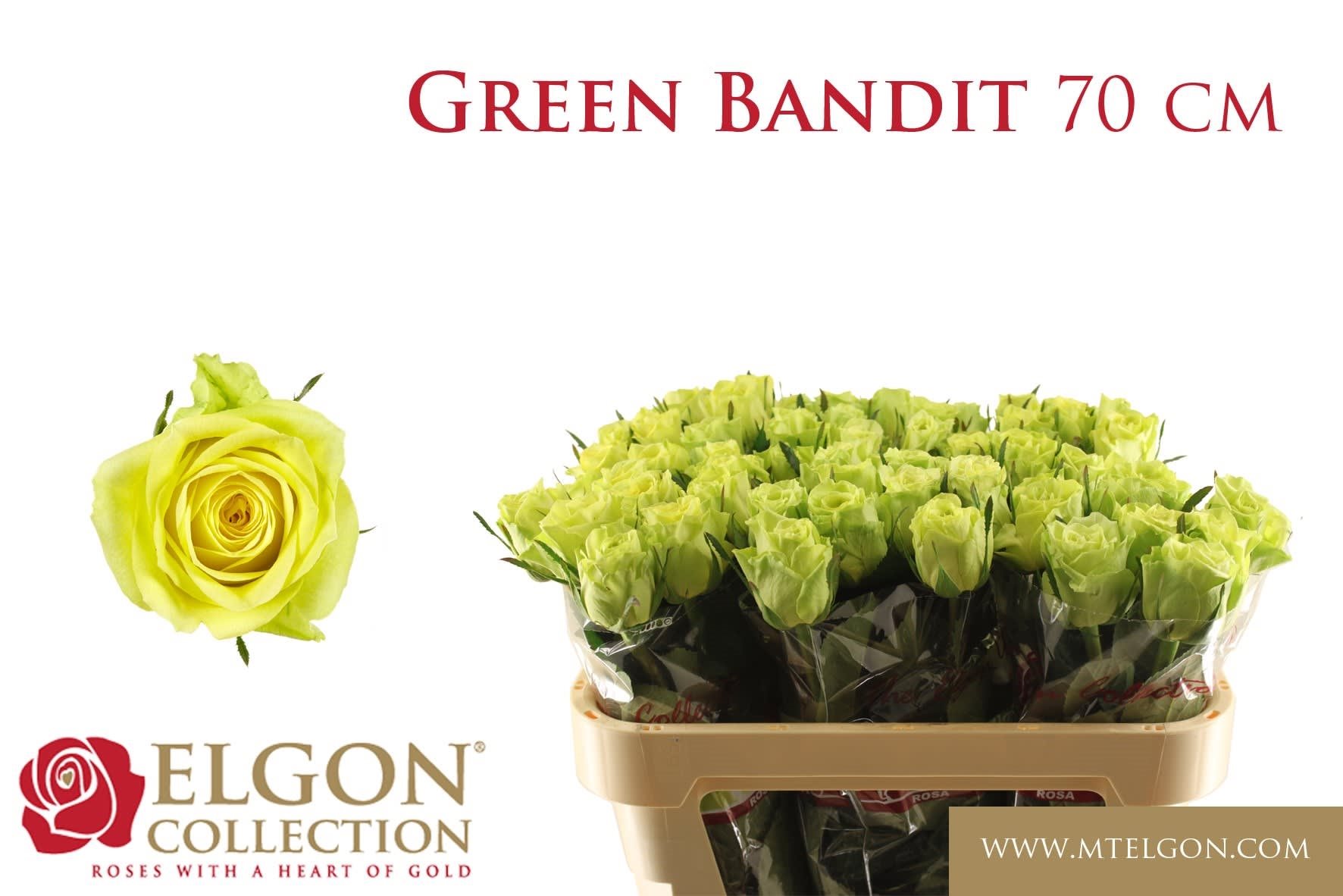 db18fa02b2b37-2539428