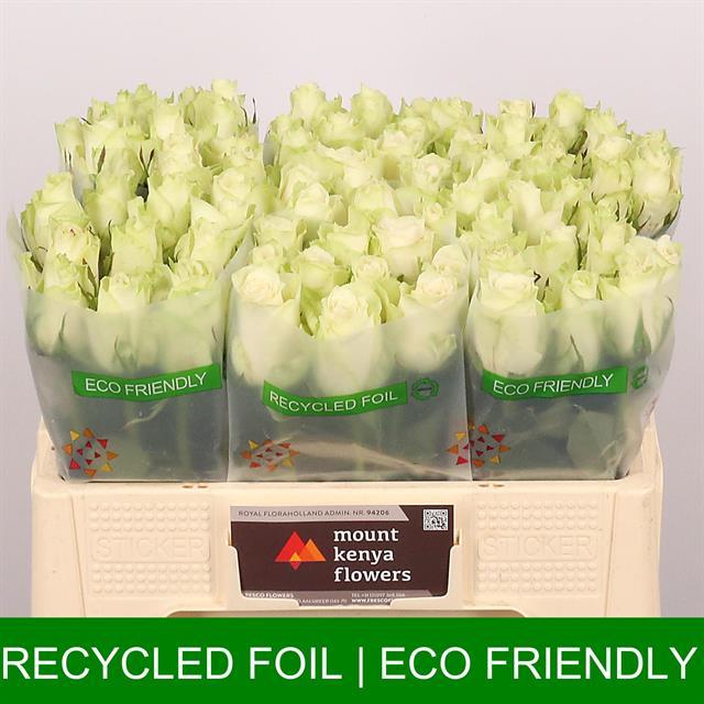 0x63E475EF2420B17FEEF2038E87B8BD62FCD742F4