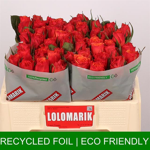 0x9C0B7195185BF5F957EB538A8A2EDE1BE3296571