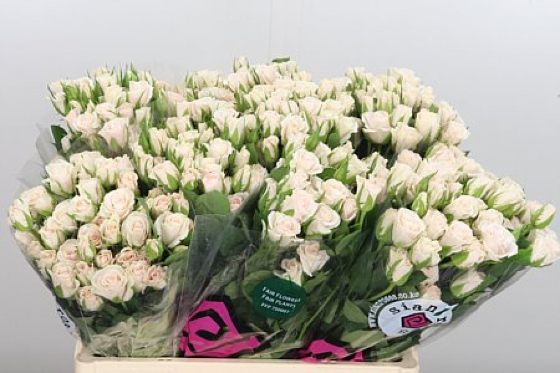 image-by-item-and-alias