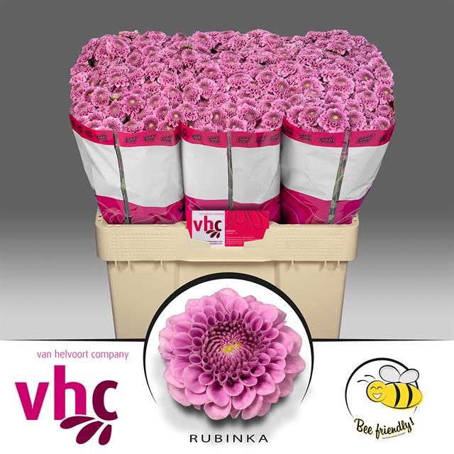 0x51E30CD77337469BEF998977F6C9517374A82A93