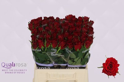 0x93A9A650A3266B35853D98E06415D85DF5E12E65