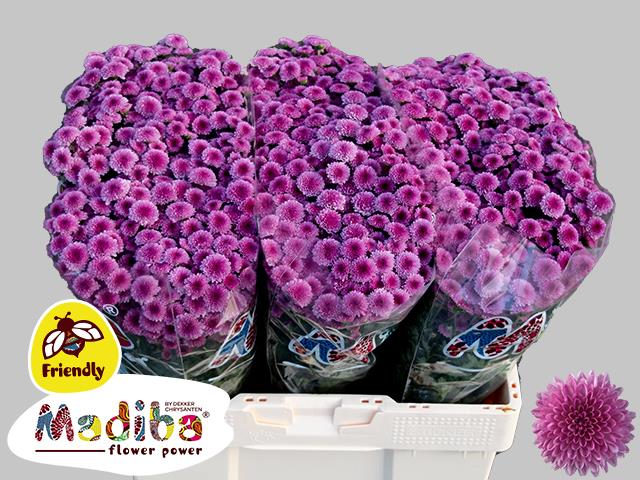 0xADAEBB7C4D204B66F8848E1FFE8595A6FBB348FA