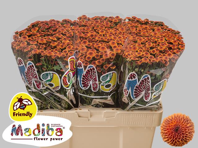 0xD5C67B6234EE179BCFD8AC37FC1E1C3DD59C9D50