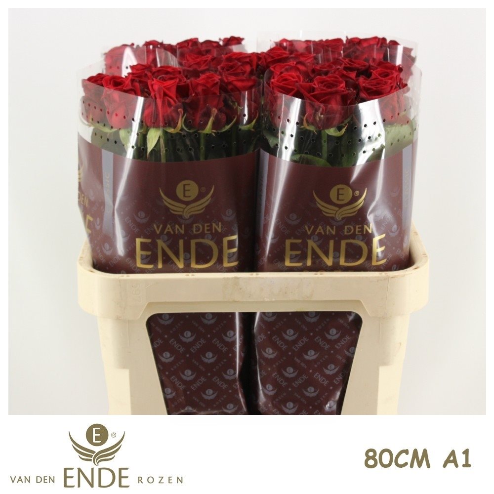 CLASSIC80A1-D-2977318